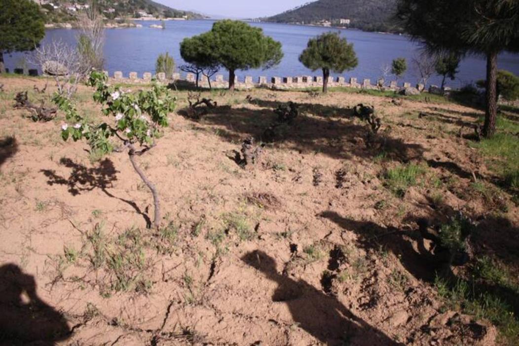 בית הארחה Ávila 	Isla Del Burguillo מראה חיצוני תמונה