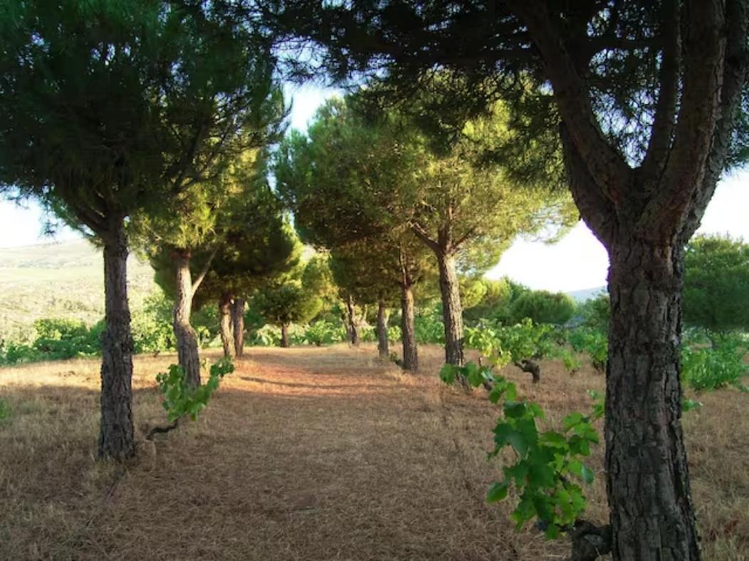 בית הארחה Ávila 	Isla Del Burguillo מראה חיצוני תמונה